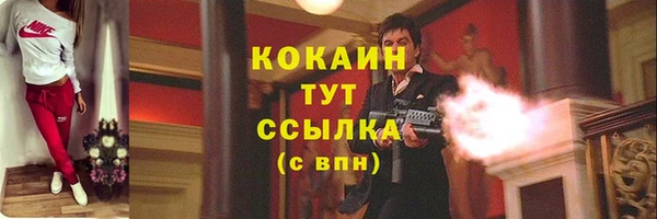 стафф Няндома