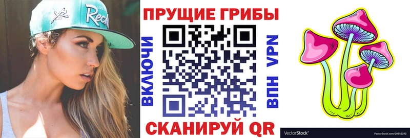 Псилоцибиновые грибы GOLDEN TEACHER  Приозерск 